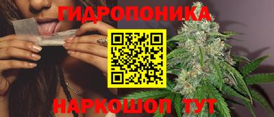 марки lsd Заводоуковск