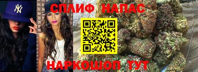 крисы Жуковский