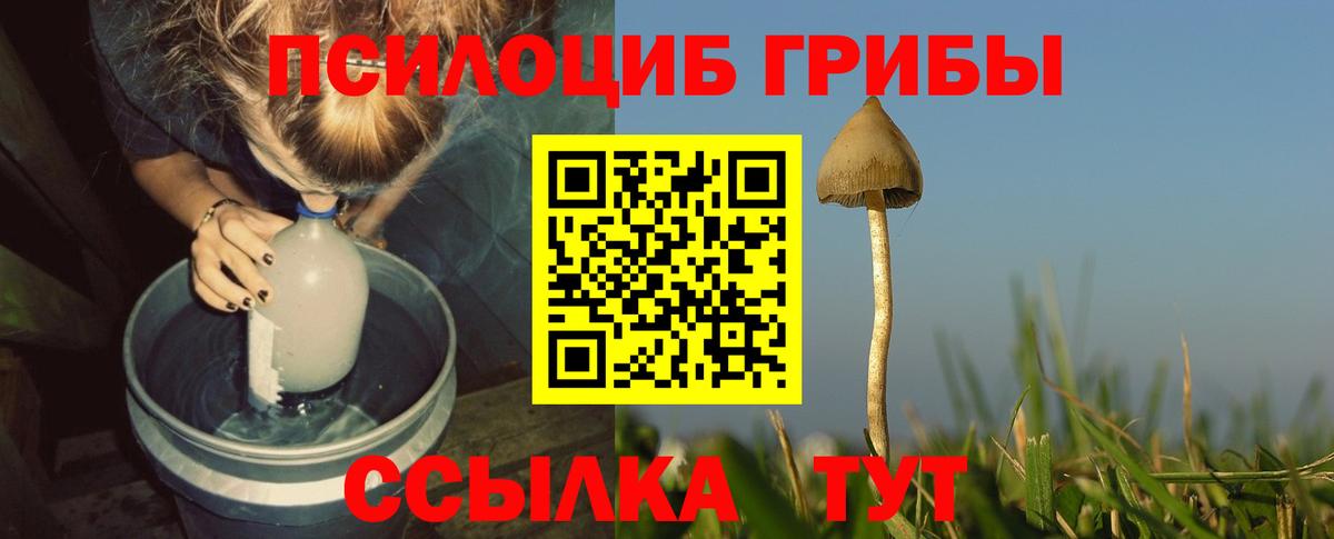 Галлюциногенные грибы Psilocybine cubensis  Вход с VPN  Канаш  Галлюциногенные грибы мицелий 